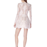 Isa Long Sleeve Mini Dress
