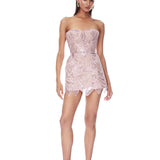 Giselle Blush Mini Dress - SAMPLE