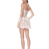 Paris Maraya Blanc Lace Mini Dress