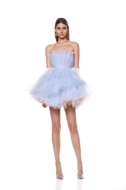 Anna Tulip Mini Dress