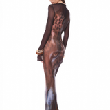 Leopard Long Sleeve Sheer Mesh Maxi Dress