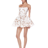 Chloe Strapless Mini Dress