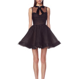 Charlotte Black Mini Dress