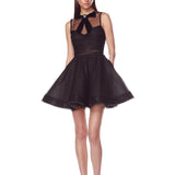Charlotte Black Mini Dress