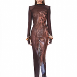 Leopard Long Sleeve Sheer Mesh Maxi Dress