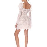 Colette Lace Long Sleeve Mini Dress