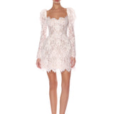 Colette Lace Long Sleeve Mini Dress