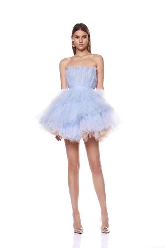 Anna Tulip Mini Dress